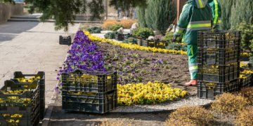 Vilnius apželdinimas