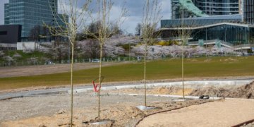 Atnaujinamam aikštynui prie Baltojo tilto – šimtai sunkvežimių smėlio ir želdynų grunto