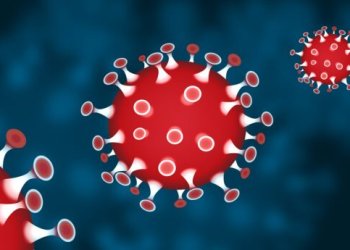 corona virus covid 19