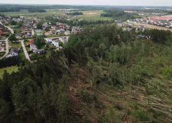 Nemenčinės miškas