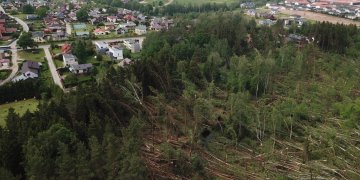 Nemenčinės miškas