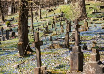 Bernardinų kapinės