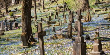 Bernardinų kapinės