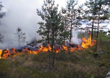miško gaisrai šalia Trakų - mišką ir durpyną šalia Kerėplio ežero Trakų regioninio padalinio Onuškio girininkijoje