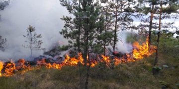 miško gaisrai šalia Trakų - mišką ir durpyną šalia Kerėplio ežero Trakų regioninio padalinio Onuškio girininkijoje
