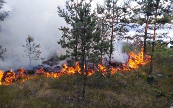 miško gaisrai šalia Trakų - mišką ir durpyną šalia Kerėplio ežero Trakų regioninio padalinio Onuškio girininkijoje