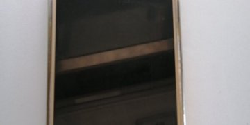 Sostinės kriminalistams įkliuvo kišenvagis (video)