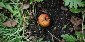 Vilnietė „įdarbino” atliekas: kas netrukus nustebino?