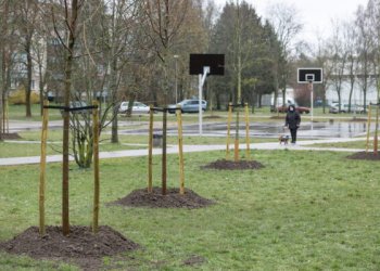 Pokyčiai Vilniaus savivaldybės struktūroje leis daugiau dėmesio skirti želdynams