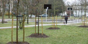 Pokyčiai Vilniaus savivaldybės struktūroje leis daugiau dėmesio skirti želdynams