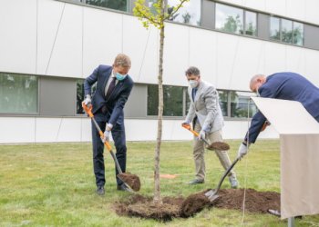 Vilniuje Uhano gydytojui L. Wenliangui ir Lietuvos medikams pasodintas ypatingas ginkmedis