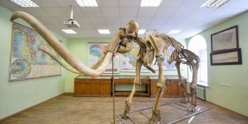 Vilniaus mamuto pėdsakais