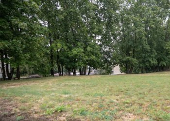 Ricardo Gavelio skveras