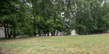 Ricardo Gavelio skveras