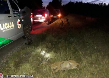 partrenkiami gyvūnai