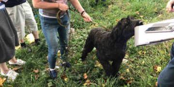 Netinkamomis sąlygomis laikomi gyvūnai perduoti UAB „Nuaras“