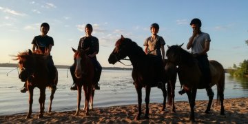 Veterinarės įkurtas startuolis vysto dirbtiniu intelektu pagrįstą žirgų radiologinės diagnostikos sistemą