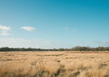 Gyventojams ir įmonėms – daugiau laiko sumokėti žemės mokestį