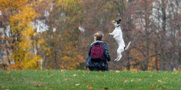 Lapkritis Vilniuje: išvežami tūkstančiai tonų lapų, saugiai tvarkytis kiemus kviečiami ir gyventojai