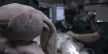 jei vaikas susižalojo