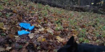 šuo užuodė narkotikus