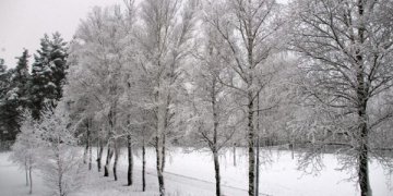 VSAT Vilniaus pasienio rinktinėje vyko nuotolinė advento susikaupimo popietė