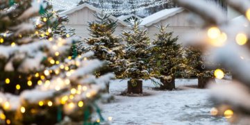 kalėdinės eglutės