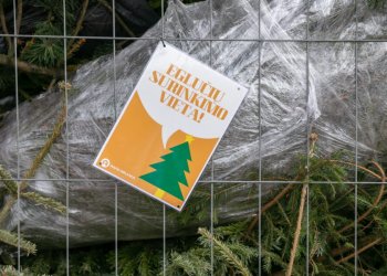 egluciu surinkimo vieta