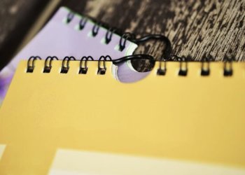 Patvirtinta 2021 metų Vilniaus rajono užimtumo didinimo programa