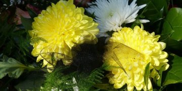 Šarvojimo salės – ką reikia žinoti?