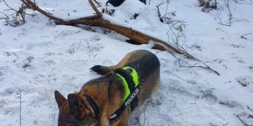 Rastas nuo vasario ieškoto vyro kūnas