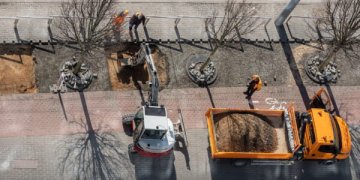 Žaliosios alėjos Vilniuje