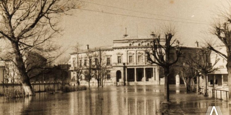Vrublevskių biblioteka, užlieta 1931 m. potvynio vandens. Šaltinis: Lietuvos literatūros ir meno archyvas.