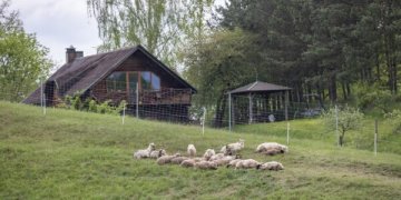 Ribiškių kraštovaizdžio draustinis