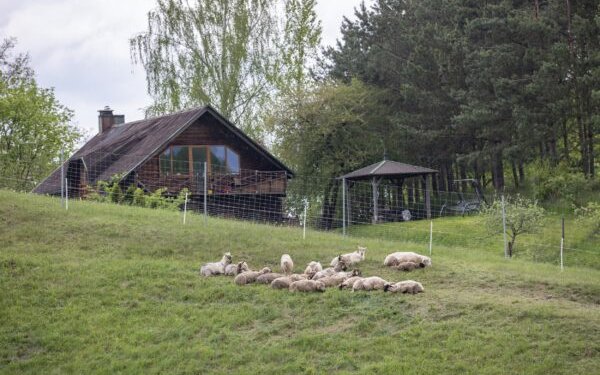 Ribiškių kraštovaizdžio draustinis