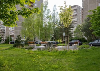 Žalią Vilnių kuriame kartu: per pusmetį – tūkstančiai sodinukų