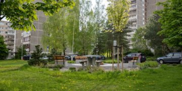 Žalią Vilnių kuriame kartu: per pusmetį – tūkstančiai sodinukų