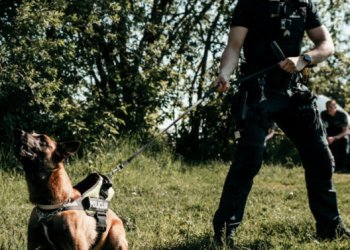 policijos tarnybinis šuo