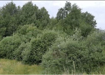 Viršuliškėse planuojama nauja viešoji erdvė