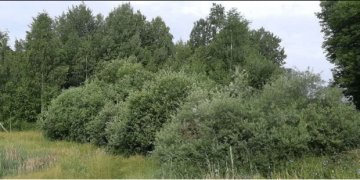 Viršuliškėse planuojama nauja viešoji erdvė