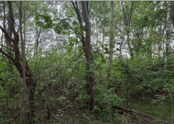 Viršuliškėse planuojama nauja viešoji erdvė