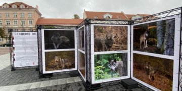100 vilkų fotografijų ekspozicija