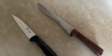 „Taško“ šeimininkė pareigūnus pasitiko apsiginklavusi