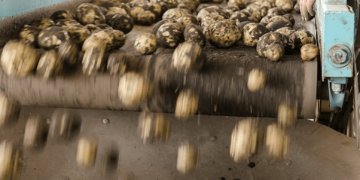 maisto pramonės įranga