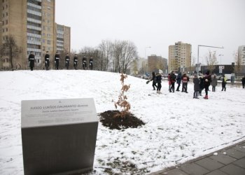 Sauliaus Žiūros nuotr.