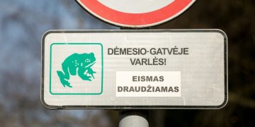 Prasideda varlių migracija – laikini eismo ribojimai Vingio parke