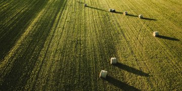 Dėl bręstančios maisto krizės ūkininkams bus leista auginti daugiau