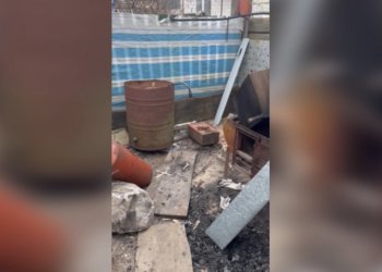 Konfiskuotą naminukę teko išvežti karučiu (video)