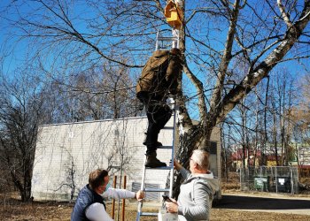 Žemės diena Lentvaryje