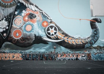 Skelbiamas Trakų rajono savivaldybės 2022 m. Jaunimo iniciatyvų, projektų finansavimo konkursas !!!